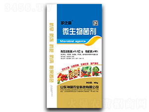 ΢�������-�o֮��-���u�r(n��ng)�I(y��)