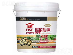 ���}����͸�ֲ��-�欔-�ʰl(f��)����