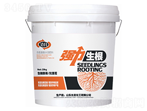 ��������-�欔-�ʰl(f��)����