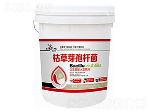 �ݲ�ѿ�ߗU��-�欔-�ʰl(f��)����