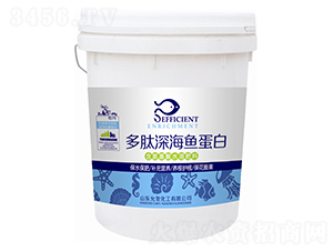 ������~����-�欔-�ʰl(f��)����