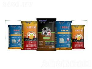 �����{(di��o)�턩-����