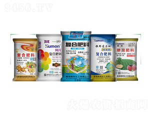 ��Ҏ(gu��)��-����