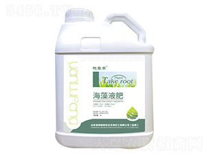 ����Һ��-�G���S-���_(d��)����