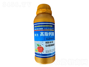 �G����֬�}Ĥ-�G��