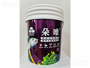 ��Ψ-�G����