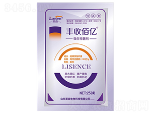 100�|΢�������-�S�հۃ|-�Rɭ����