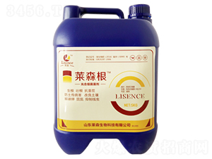 ��ϼ�(x��)������-�Rɭ��-�Rɭ����