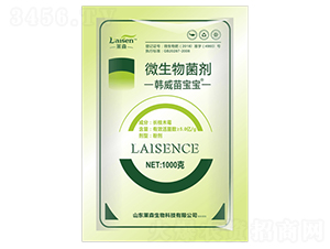 5�|΢�������-�n���猚��-�Rɭ����