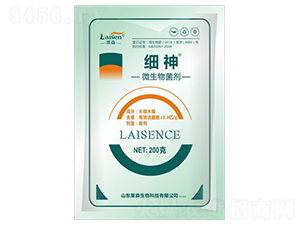 5�|΢�������-��(x��)��-�Rɭ����