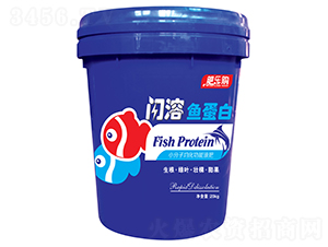 �W���~����-�ʘ�ُ-�л���ʯ