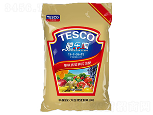 ��̼�|̼��W�ܷ�13-7-35+TE-�ʘ�ُ-�л���ʯ