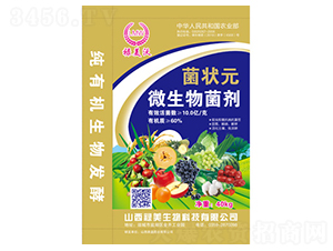 ΢�������-����Ԫ-��������