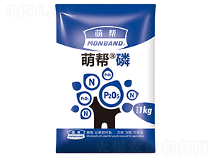 �Ȏ͡���-�Ȏ�