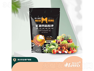 �VԴ�S�����-����-�A����