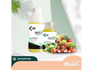 �Ǵ��\-����-�A����