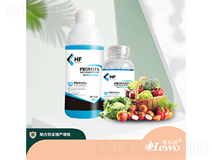 �Ǵ��}-����-�A����