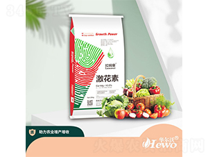 ������-��ķ��-�A����