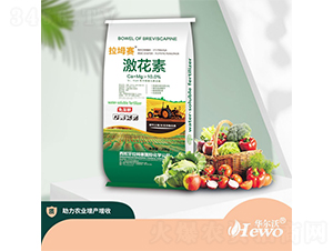 20kg������-����ِ-�A����