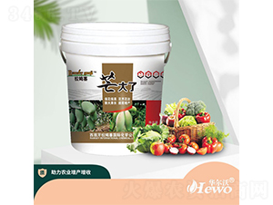 â����-��ķ��-�A����