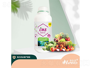 �Ǵ��F-����ِ-�A����