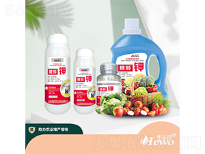 �Ǵ��-�A����