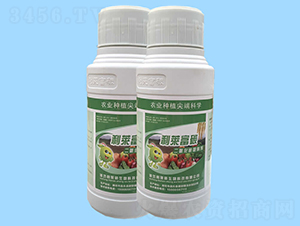 ���R��̼��������̼������-���R̼����