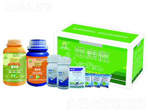 �翵΢-�W�r(n��ng)����