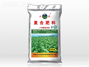 ���݌��Ï�(f��)�Ϸ�-����