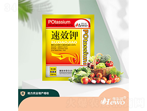 ⛷�-�A����