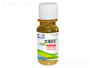 ̫ꖻ����L�{(di��o)��(ji��)��-�����r(n��ng)�I(y��)