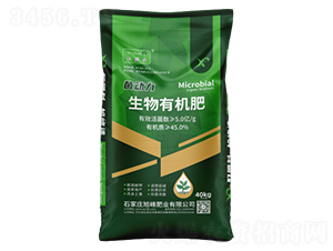 �����ЙC(j��)��-����(d��ng)��-���ʘI(y��)