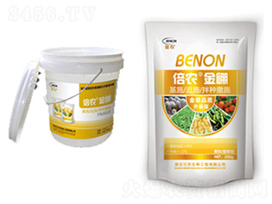 ���r����-ؐ�r����