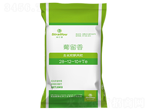 ���Lǰ�ڌ��ô���Ԫ��ˮ�ܷ��Ϸ�28-12-10+TE-������-�����_(d��)�ʘI(y��)