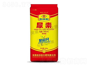 ���B�ľ��ܾW���w������-���o����