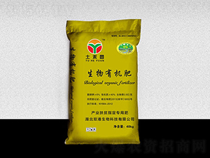 ���̈A�������ЙC��-�p��