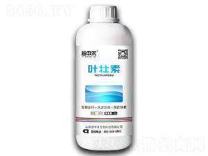 �~����-���к�