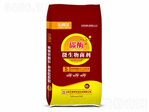 5�|̼ø��΢�������