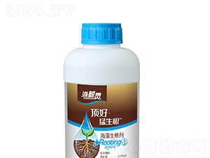 ����������������-픺�-���L�`