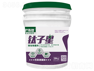 ΢�������-�?zh��n)��?��˹��