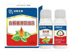 �I�x���L���׷�ʭ�M�����b-�I�x����