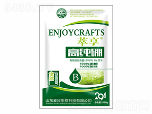 �߼���-����-��������