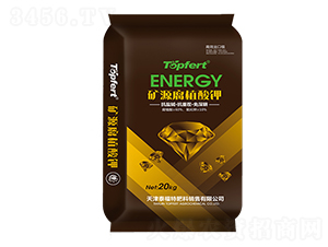 �VԴ��ֲ���-̩���ط���