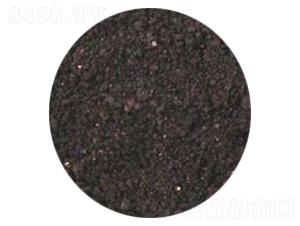 �����ЙC(j��)�ʣ��w����-��(qi��ng)�r(n��ng)�ʘI(y��)