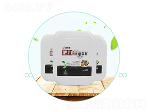 �����ߡ������-��������