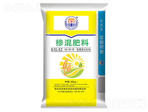 �������19-19-19-����S