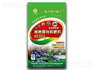 �{ݮ����ֲ��Դ�ЙC����-�����r(n��ng)�I(y��)