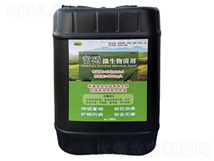 ����΢�������-���־�-����