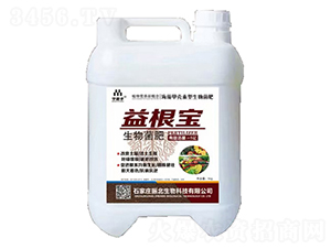 �������-�����-������