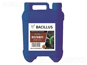 �������΢�������-ˮ����